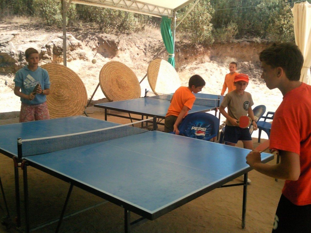 ping-pong