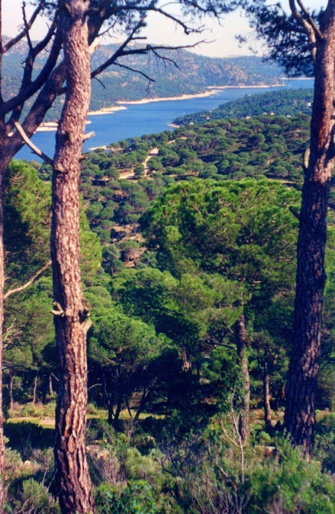 Vistas al pantano de San Juan