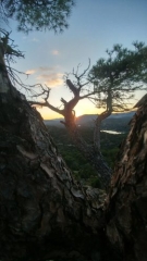 Paisaje