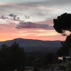 Atardecer bosque