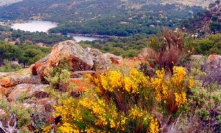 paisaje